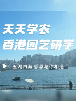 与香港园艺学会联合举办香港园艺研学，专业园境师带队讲解。