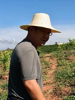 农业人叶涛，50多岁通讯人跨界搞农业，他要用1000万打造一个梦。